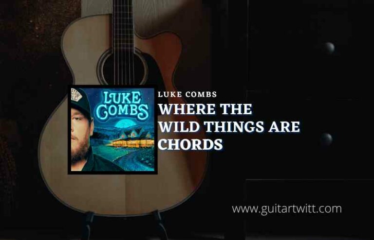 Where The Wild Things Are Chords By Luke Combs Guitartwitt