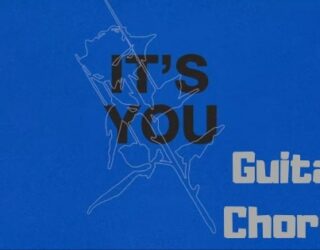 It's You Guitar Chords