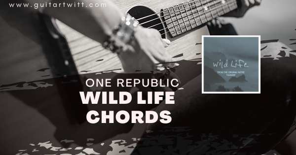 Wild Life Chords
