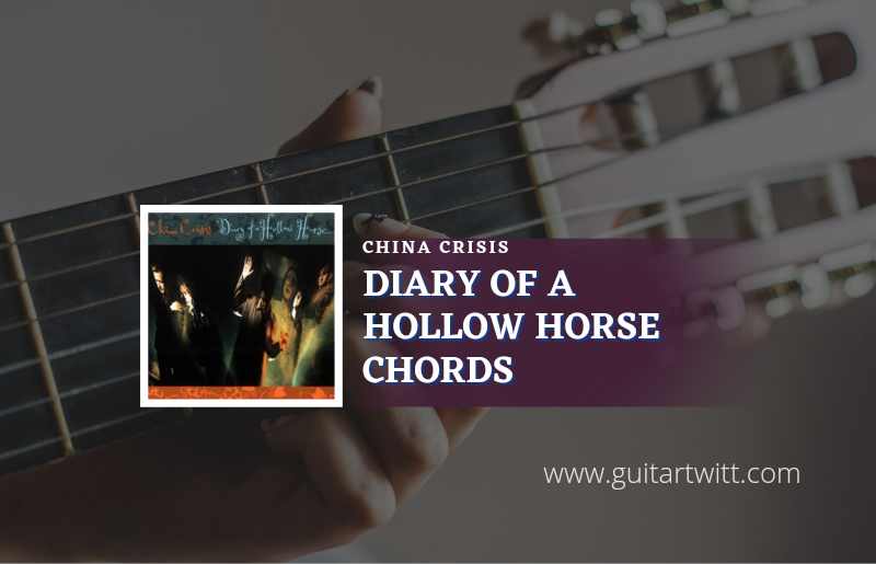 Diary Of A Hollow Horse
