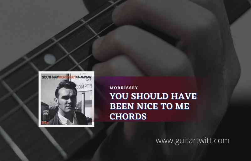 You Should Have Been Nice To Me Chords