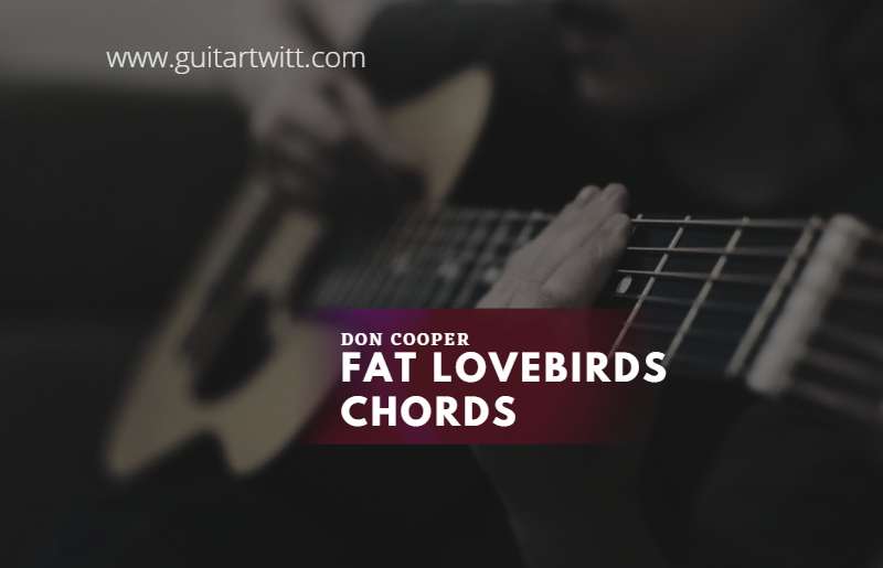 Fat Lovebirds chords