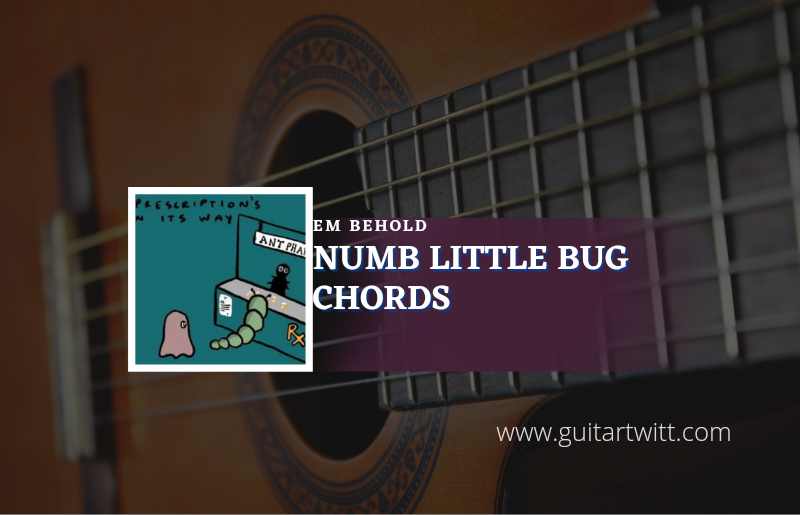 Numb Little Bug