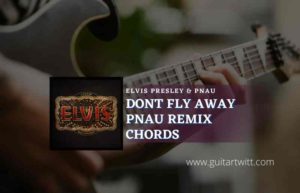 Dont Fly Away Pnau