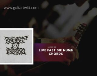 Live Fast Die Numb