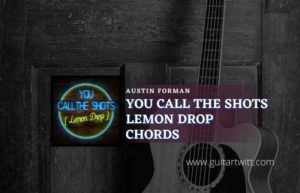 You Call The Shots Lemon Drop