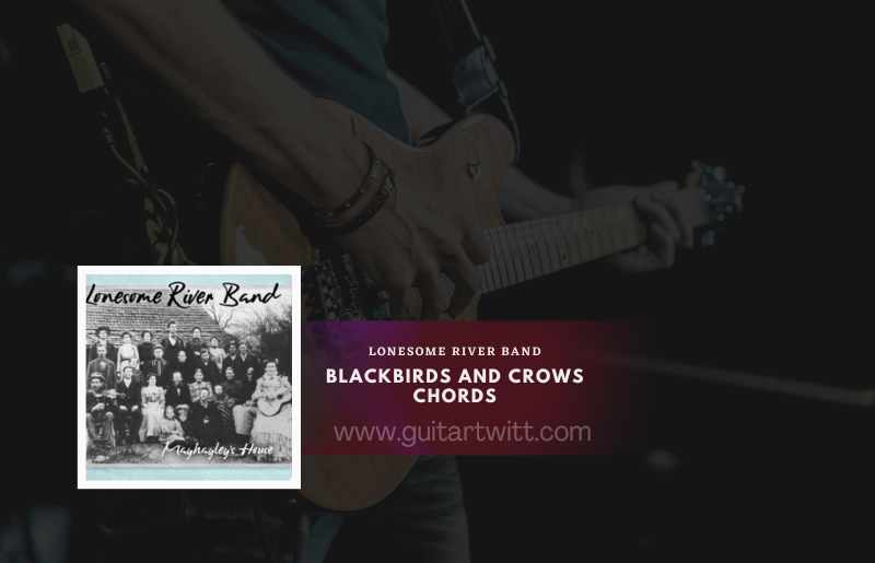 Blackbirds And Crows
