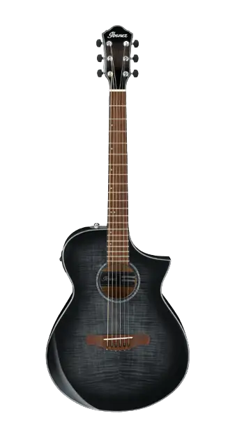 Ibanez AEWC400TKS
