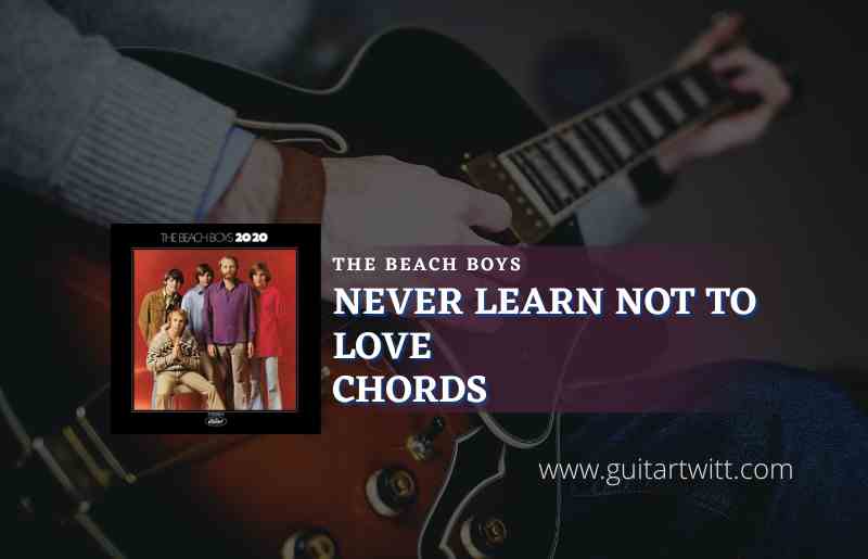 Never Learn Not To Love