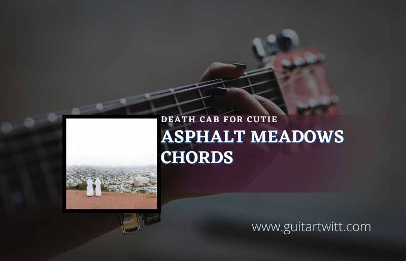 Asphalt Meadows