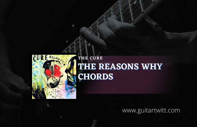 The Reasons Why