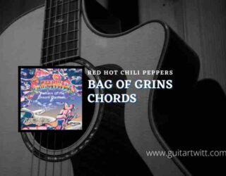 Bag Of Grins