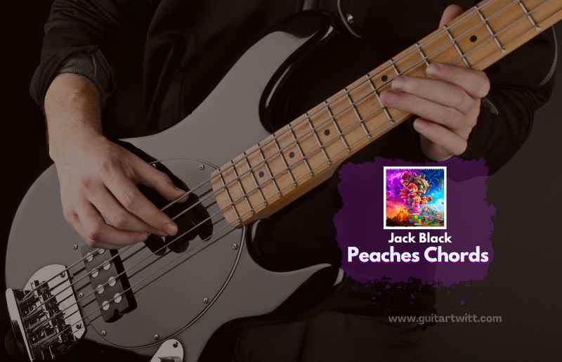 Peaches - Jack Black - Guitar chords and tabs