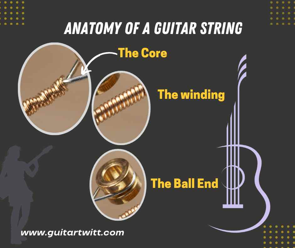 Anatomy of a Guitar String 1