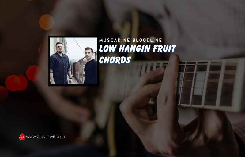 Low Hangin Fruit