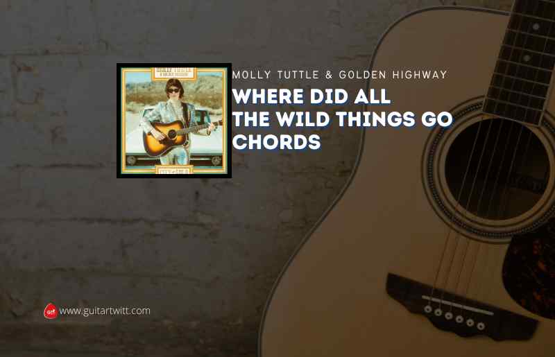Where Did All the Wild Things Go